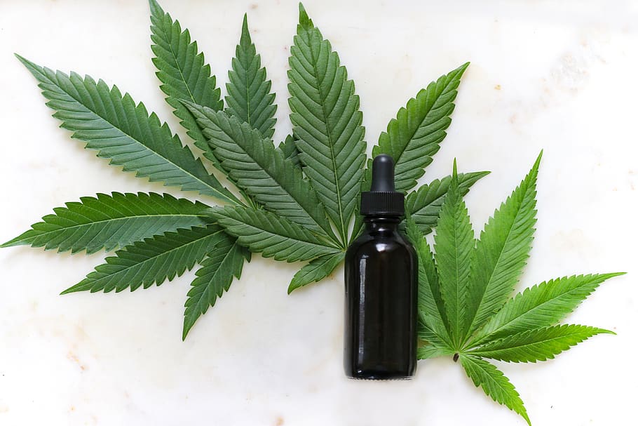 CBD Oil for Pain Relief Australia — Topical, Oral, Tested