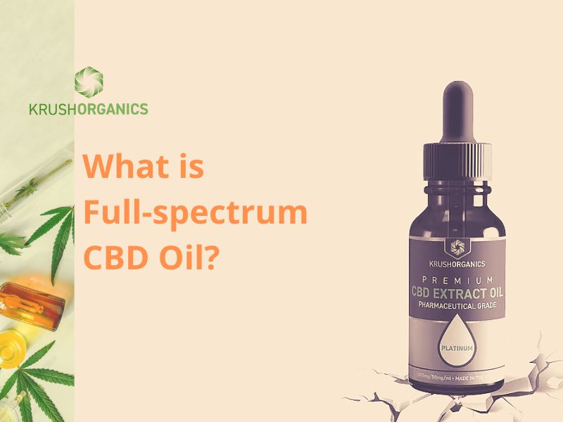 CBD Oil for Post-Exercise Recovery — Train hard. Recover smarter.