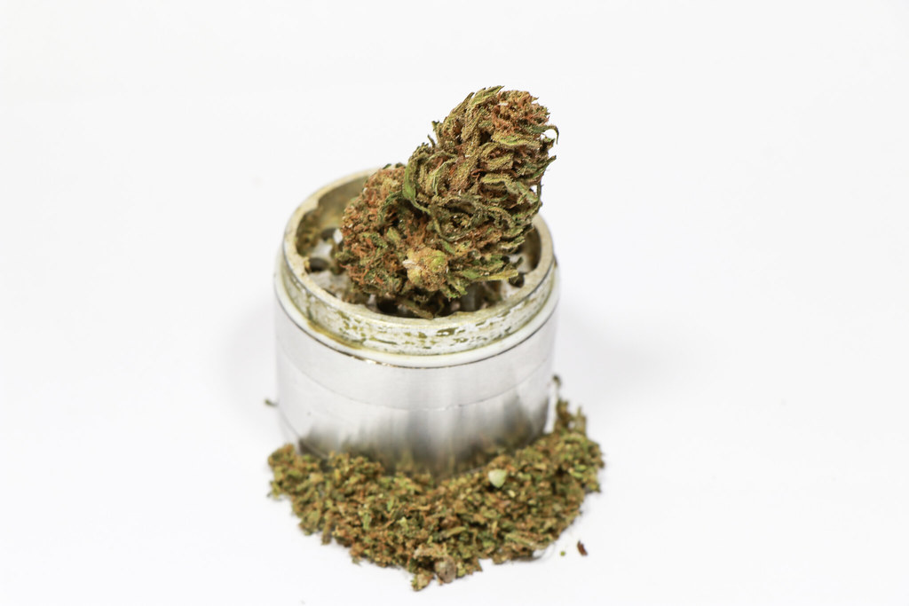 Industrial Hemp in Australia: Top 3 Questions Answered
