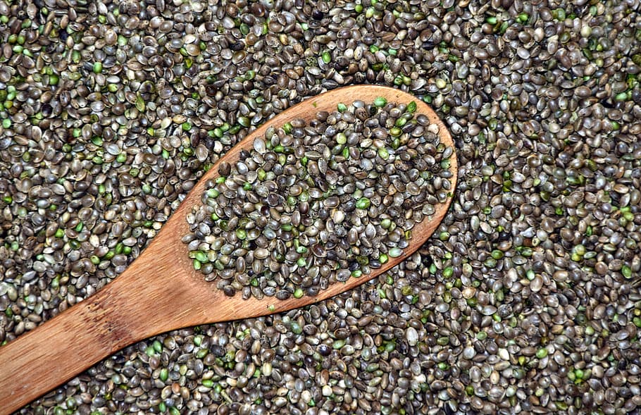 Marijuana Seeds Australia: All You Need to Know