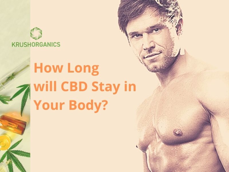 How Long Will CBD Stay In Your Body?