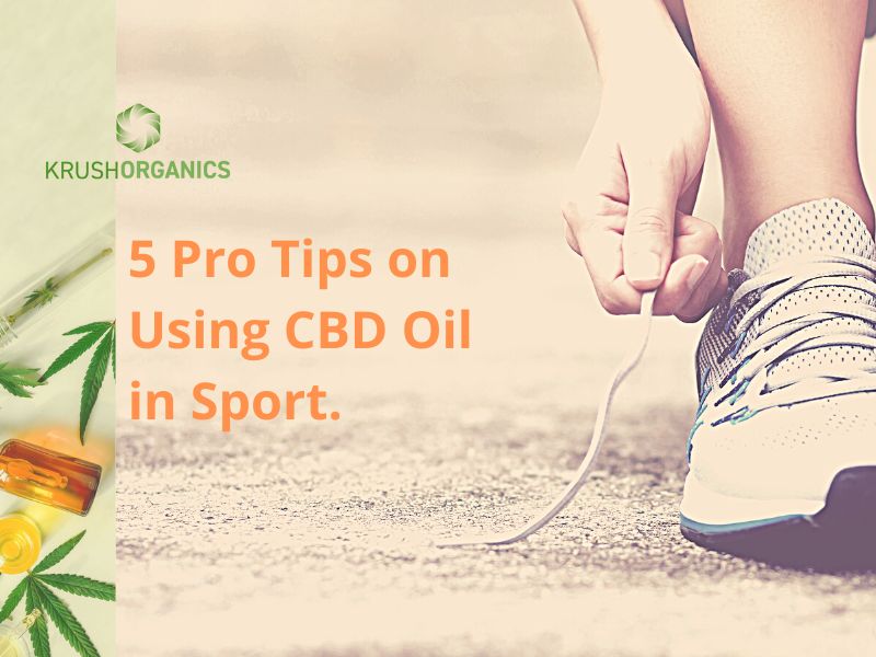 5 Pro Tips on Using CBD Oil in Sport
